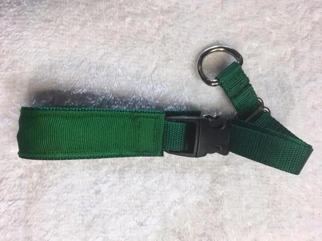 Secret Powers 1" Micro Training Collar - Solid Green