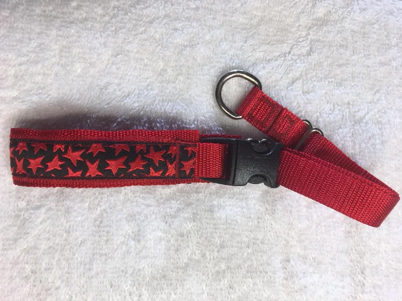 Secret Powers Micro 1" Training Collar - Red Stars on Black