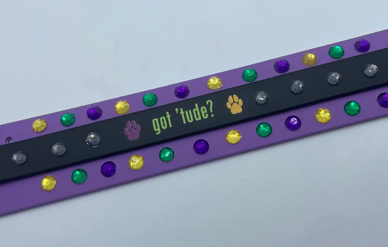 Got TUDE MARTINGALE LEASH