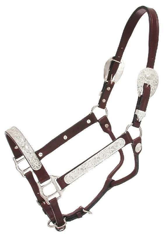 Raised Oval Horse Show Halter