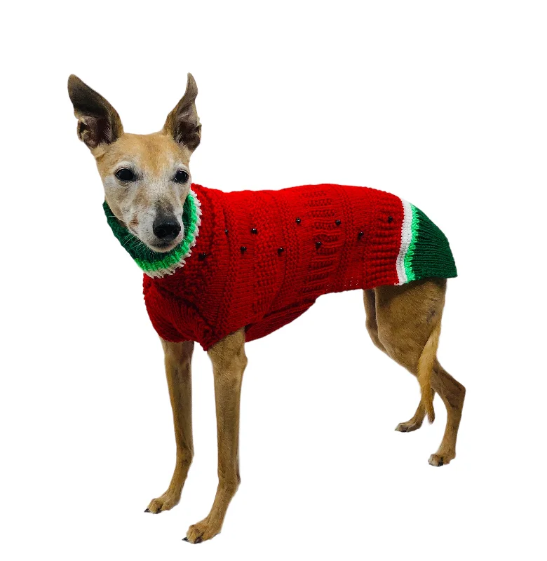 Watermelon Whippet Sweater Size Medium