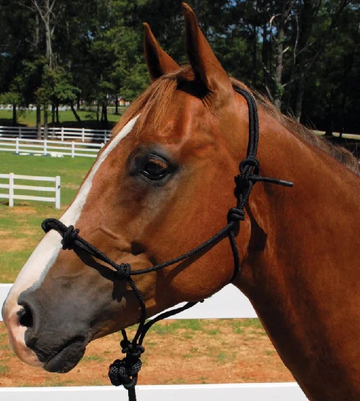 Knotted Rope Horse Training Halter