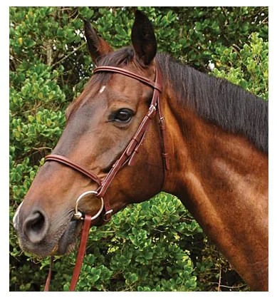 Weatherbeeta Kincade Plain Raised Bridle, Full size