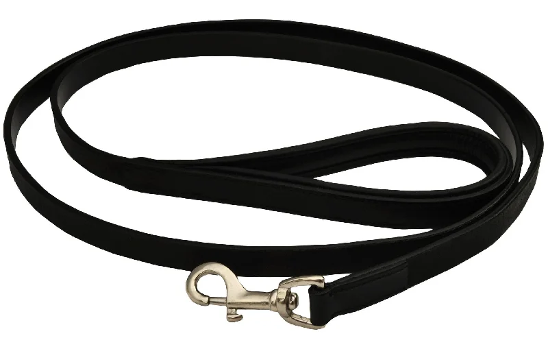 Jeffers Premium Padded Black Leather Leash