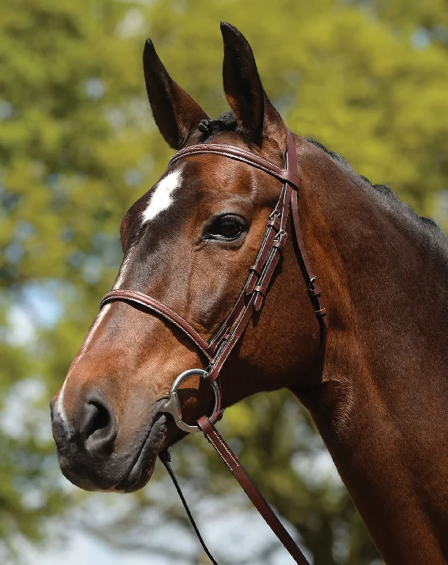 Weatherbeeta Fancy Stitched Bridle w/ Reins, Brown