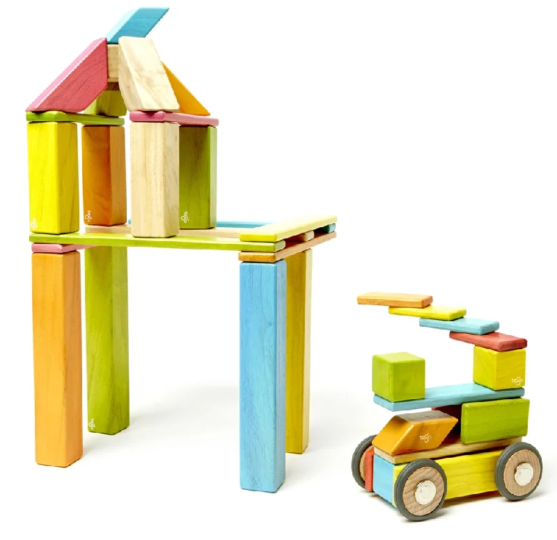 Tegu Tints 42 Piece Set