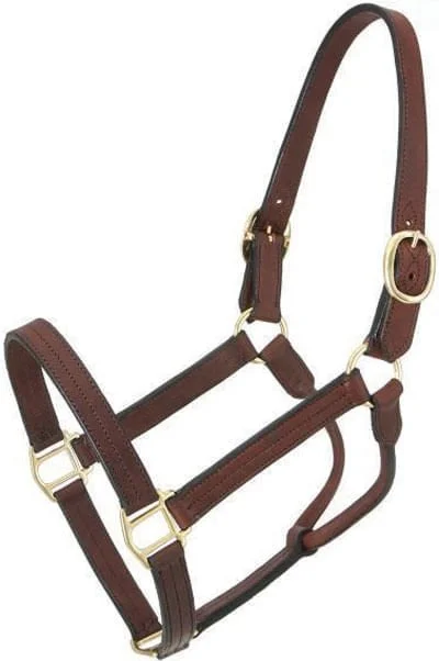 Royal King Preakness Leather Track Horse Halter