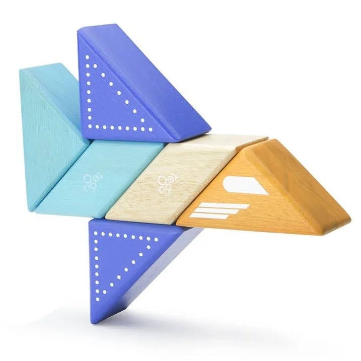 Tegu Magnetic Blocks Travel Pal - Jet Plane