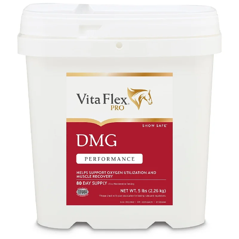 Vita Flex DMG 1500 Horse Supplement, 80 Day Supply