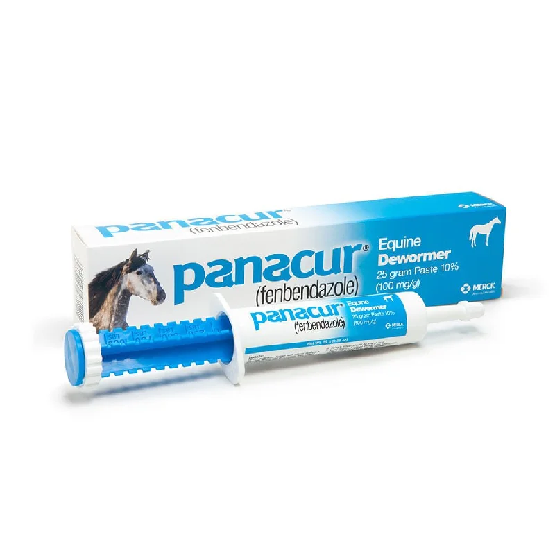 Panacur Equine Dewormer Paste, 25 g