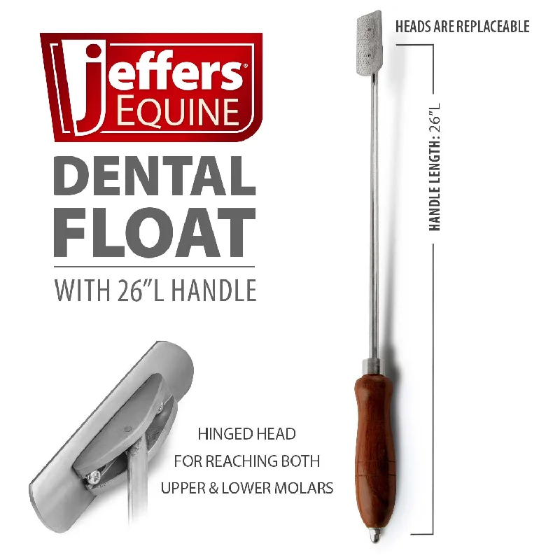 Jeffers Horse Dental Float (& Replacement Blades)