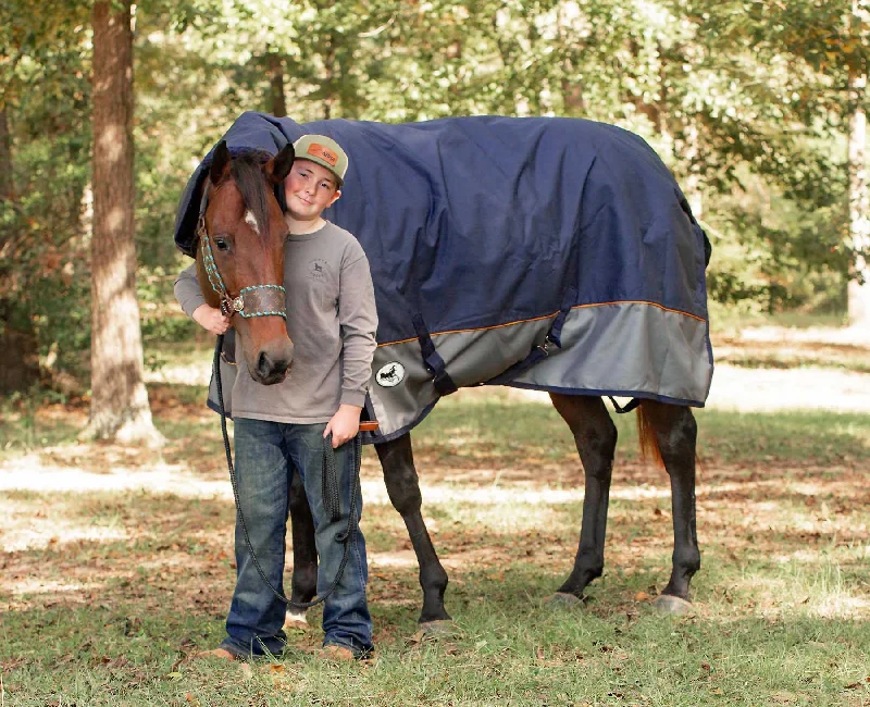 Jeffers Economy Plus Combo Neck Horse Turnout Blanket, 1200D, 360g Fill, Navy/Gray