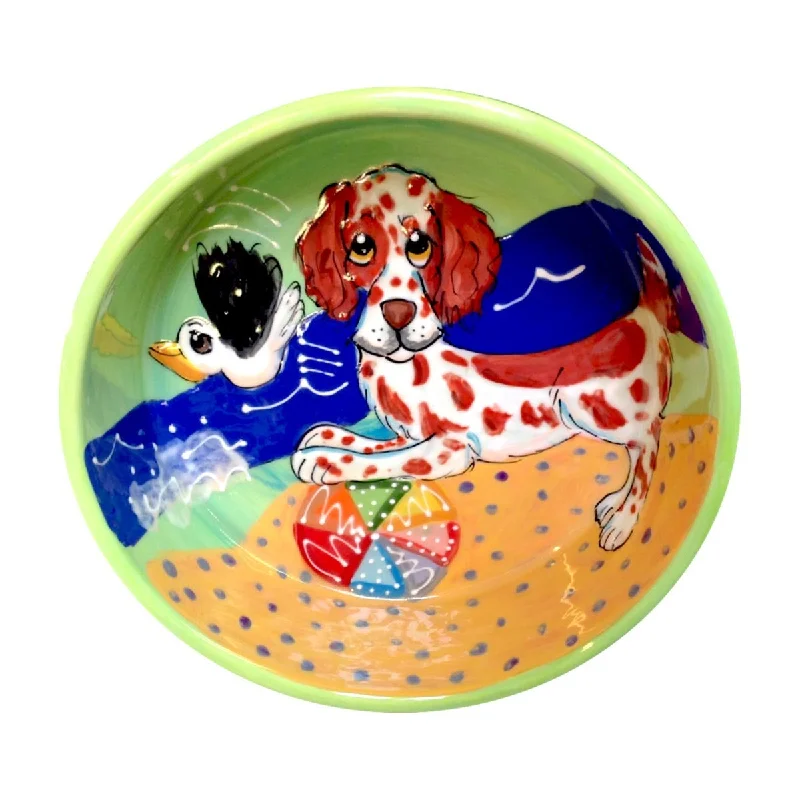 Clumber Spaniel 1 Dog Bowl